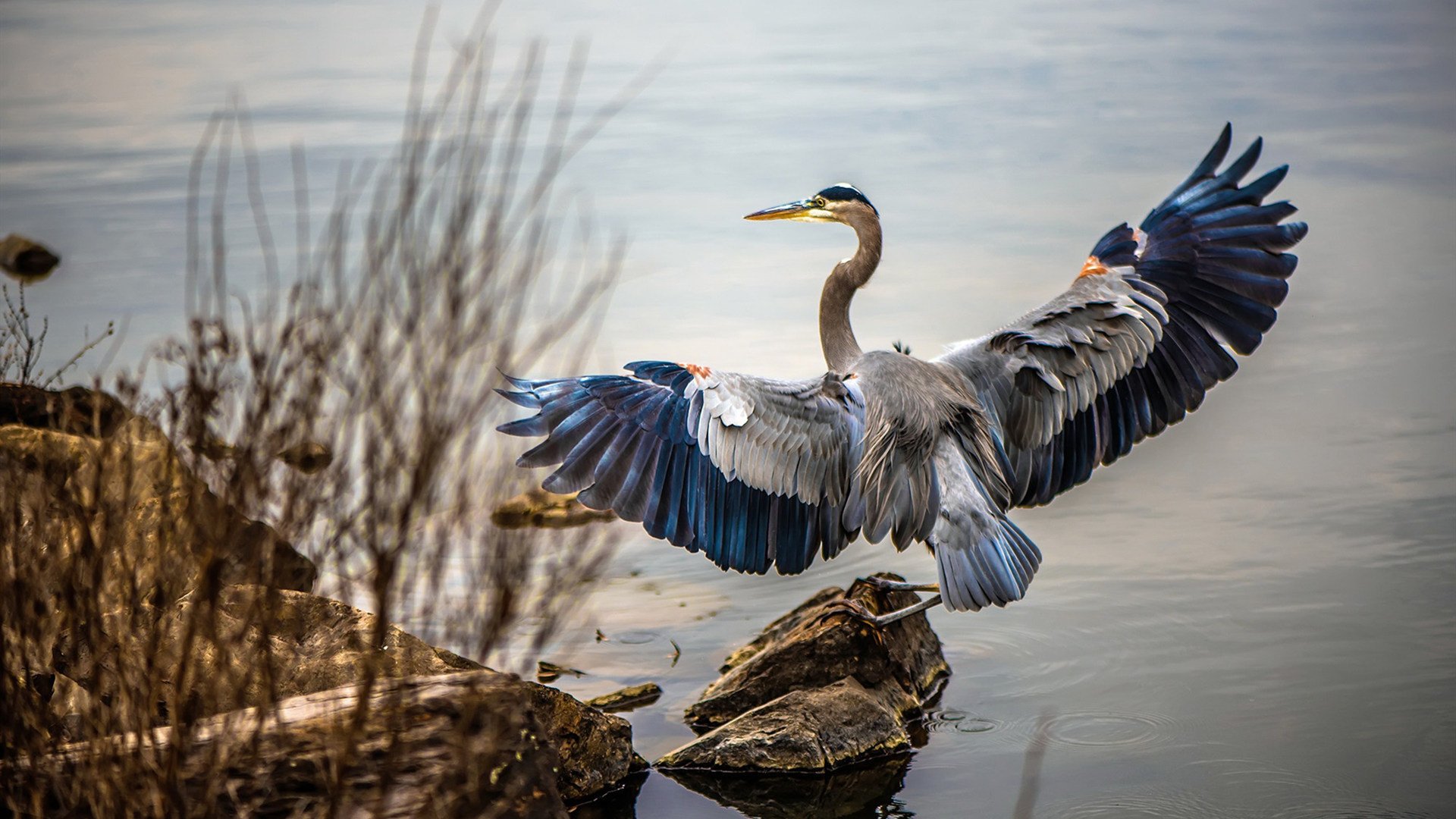 绝境之下，他将整个国家扛在肩上
