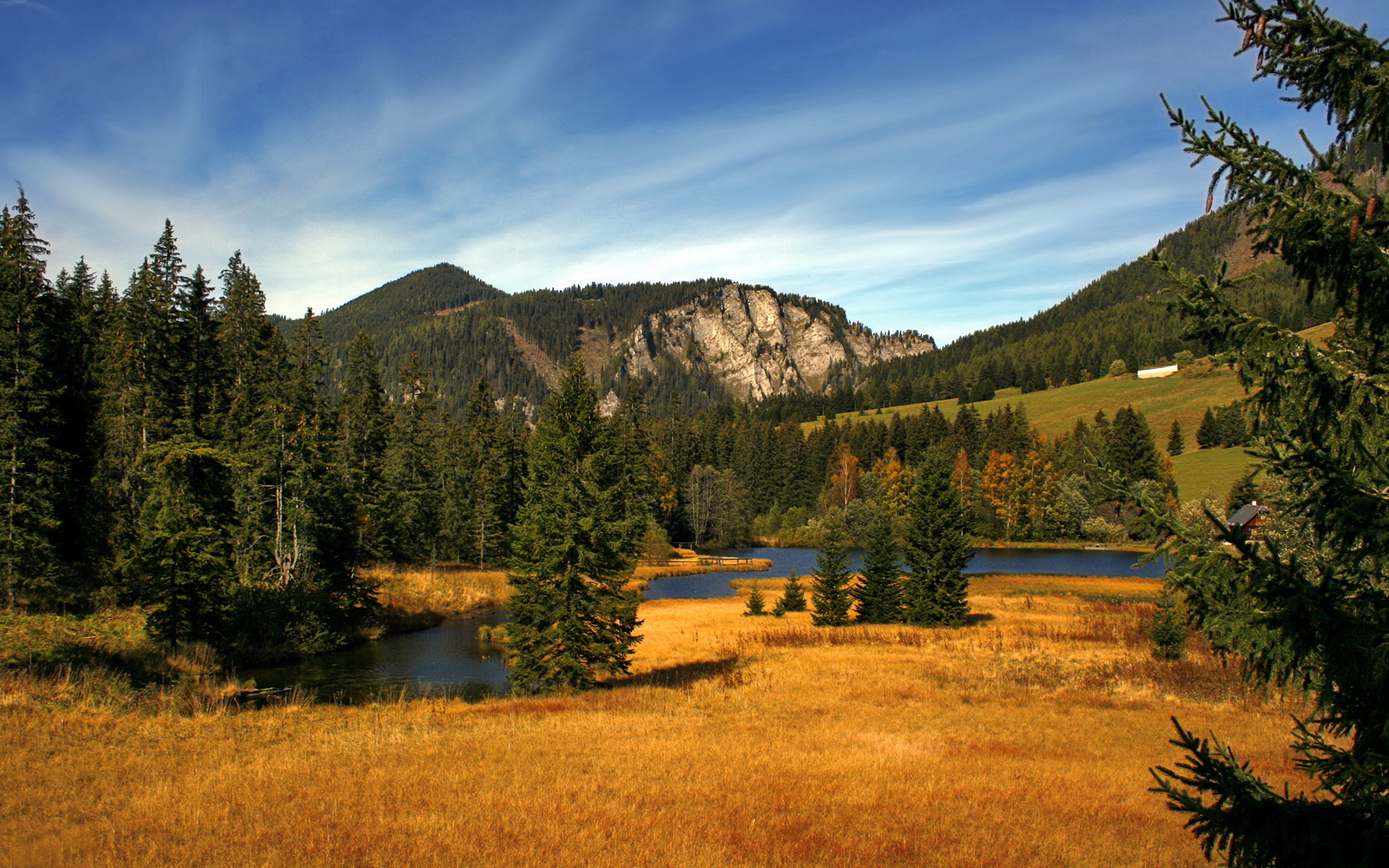 开云体育APP下载-约基奇统治赛场，深圳队大胜步行者提前锁定胜局