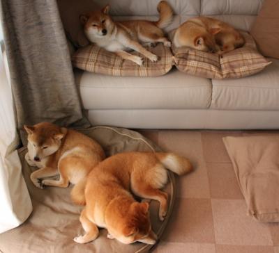 伦纳德爆砍40分统治攻防，魔术主场大胜老鹰强势晋级