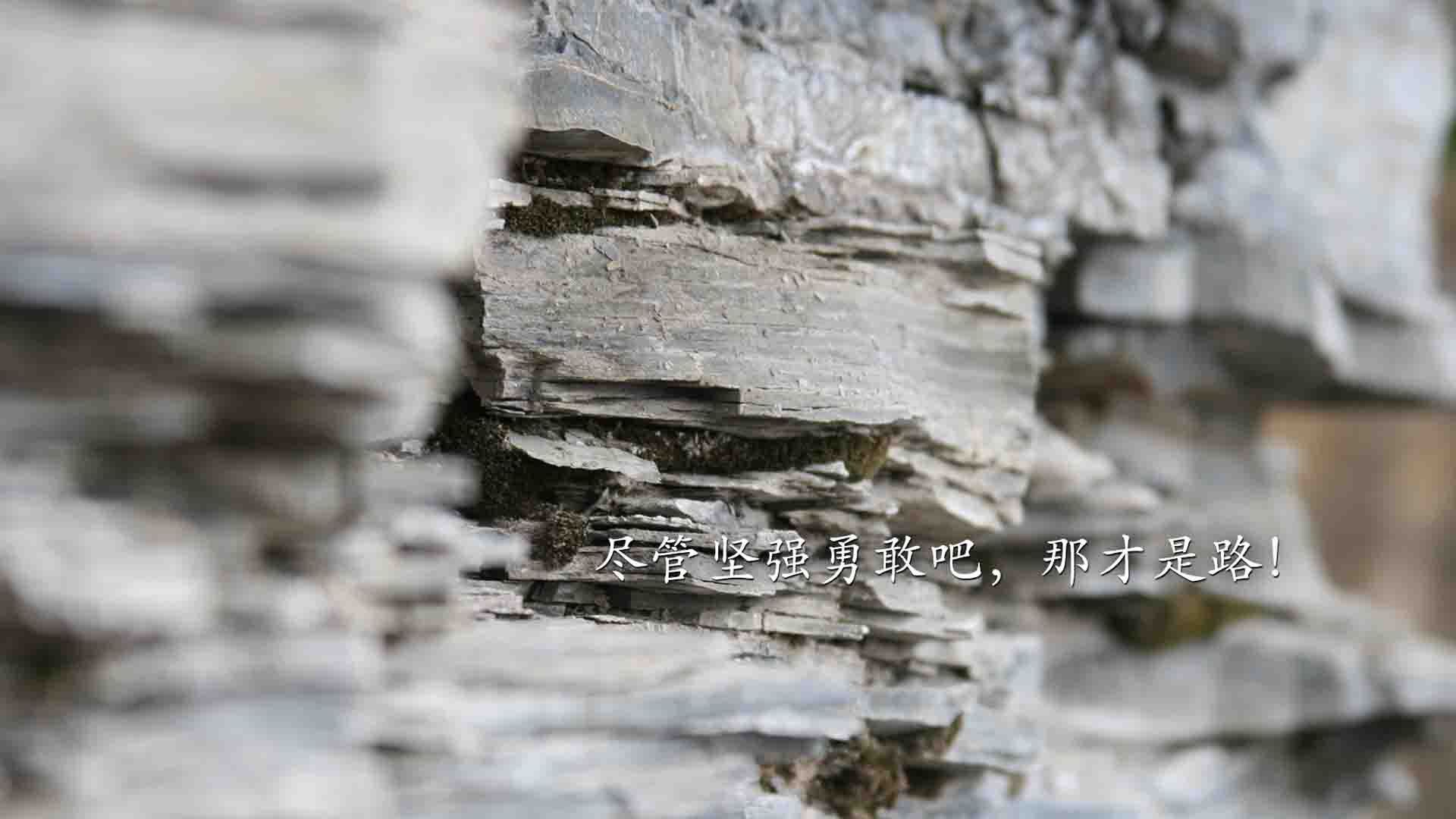 地缘博弈与绝杀时刻，当安哥拉的外交铁幕遇上罗德里戈的终场主宰