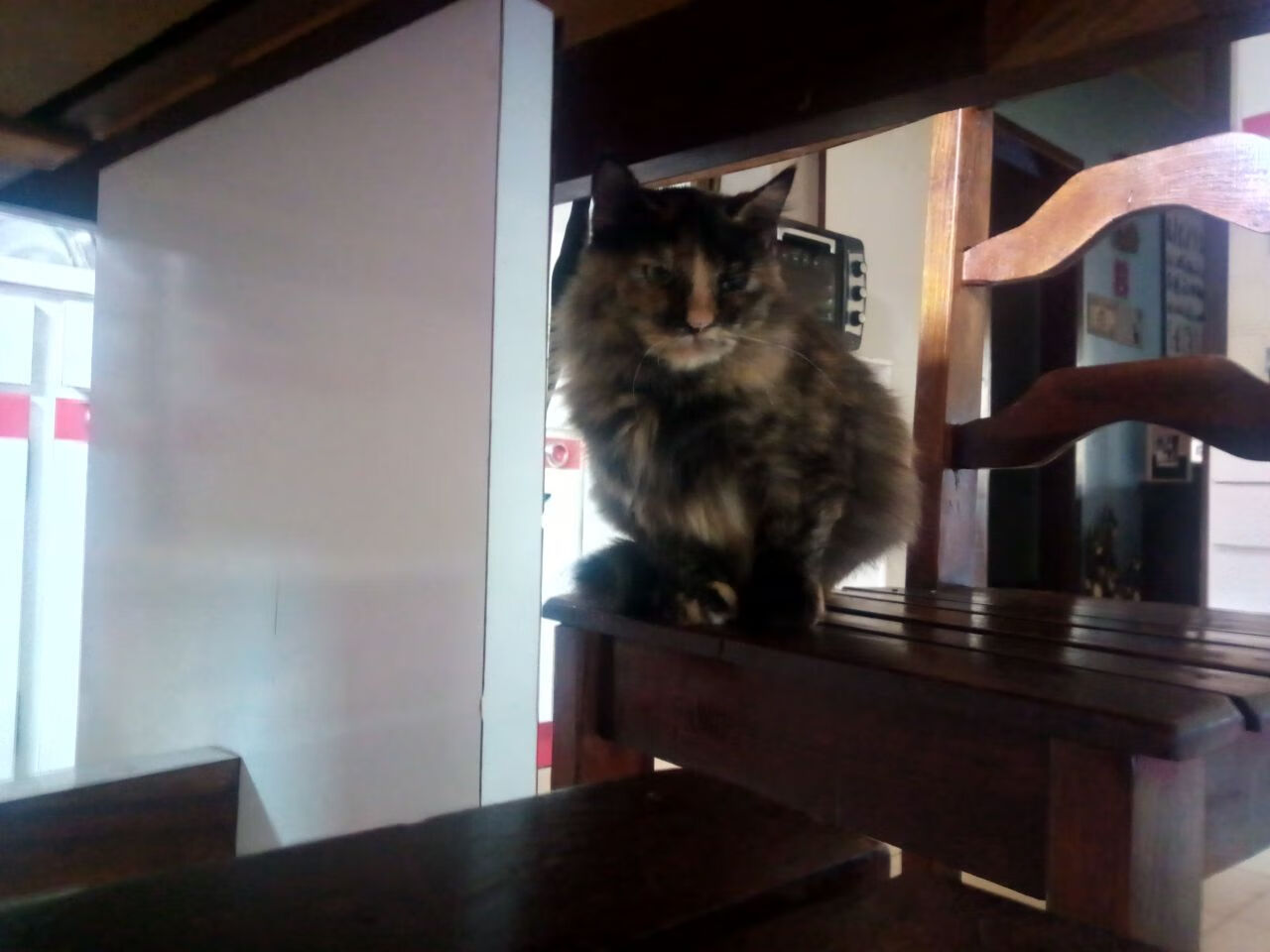 末节爆发！萨卡导演逆转，加纳战术碾压击穿日本防线